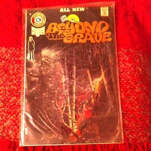 Beyond The Grave comic